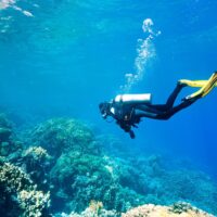 Anegados - Scuba Dive Certified Anegados - Scuba Dive Certified